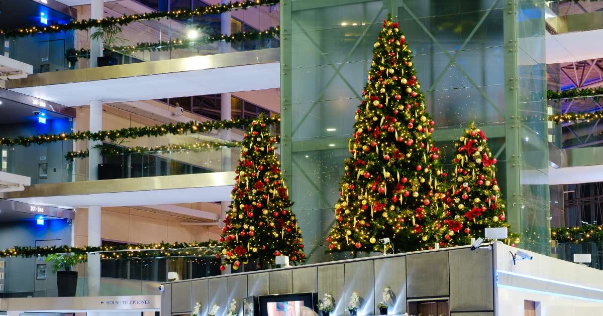 FI Ambius Christmas trees small (2)